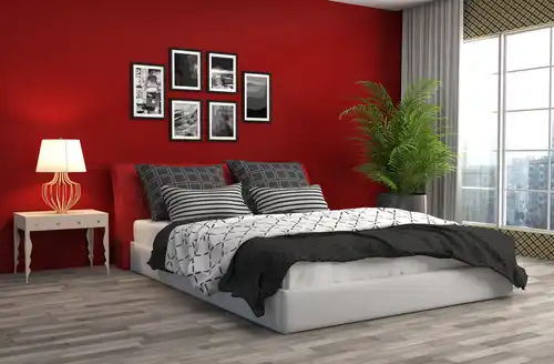 Vibrant Red inspiration 2